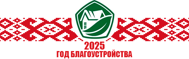 Год благоустройства